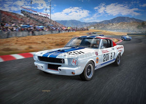 Revell 07716 Shelby GT 350 R &amp;#39;66 1/24 – image 3