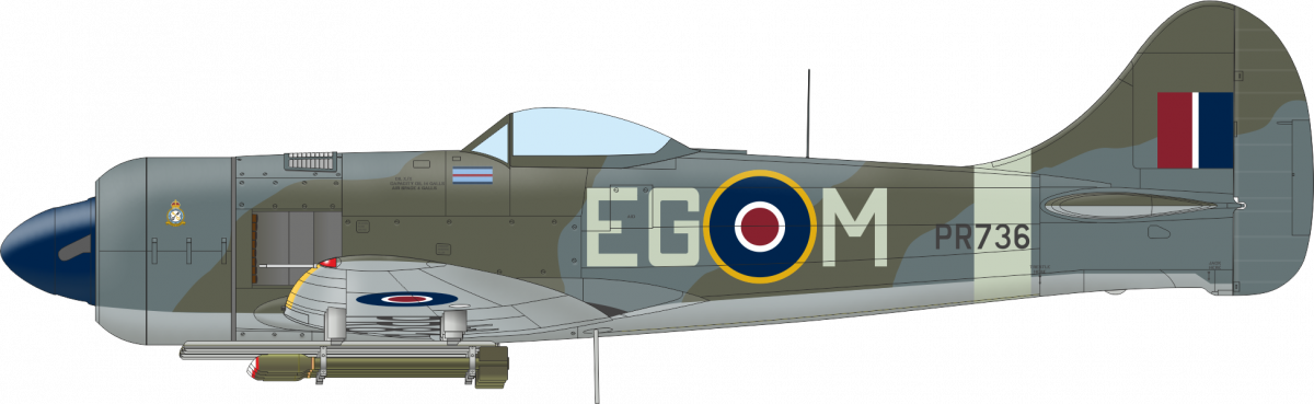 Eduard 11164 The Ultimate Tempest Édition Limitée 1/48 – Bild 8