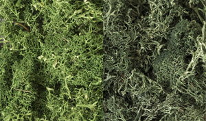 Lichen Woodland Scenic WL168 - Mélange vert foncé
