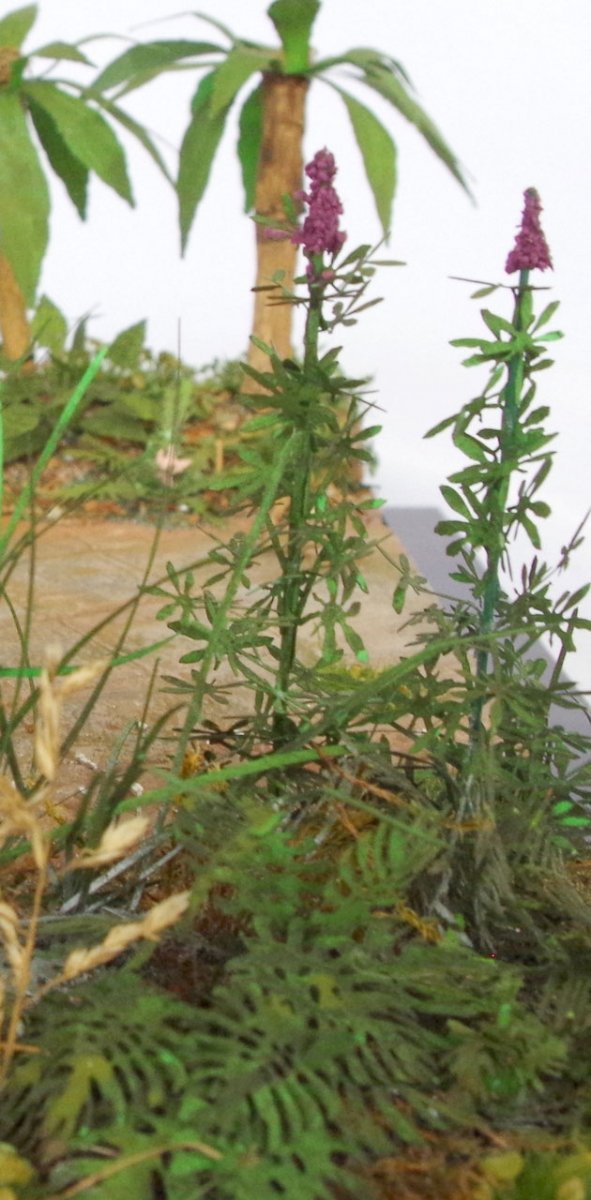 RT-Diorama 35621 Plante de la jungle n° 8 1/35 – immagine 3