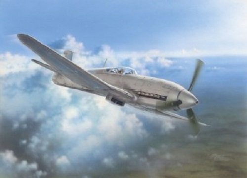 Specjal Hobby 32045 Heinkel He 100D soviétique et japonais (1/32)