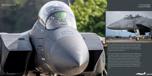 Publications HMH DH-026 Boeing F-15 E/K/SG Strike Eagle - Avion en détail 026 (Version anglaise) – immagine 3