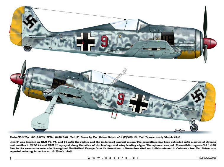 Kagero 15035 Fw 190s au-dessus de l&amp;#39;Europe, partie I (décalcomanies) EN/PL – Bild 5