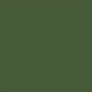 Gunze Sangyo C511 Vert Russe 4BO
