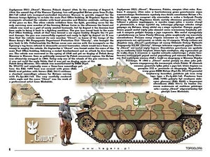 Kagero 15039 Panzers capturés, véhicules allemands au service des Alliés (décalcomanie) PL/EN – Bild 2
