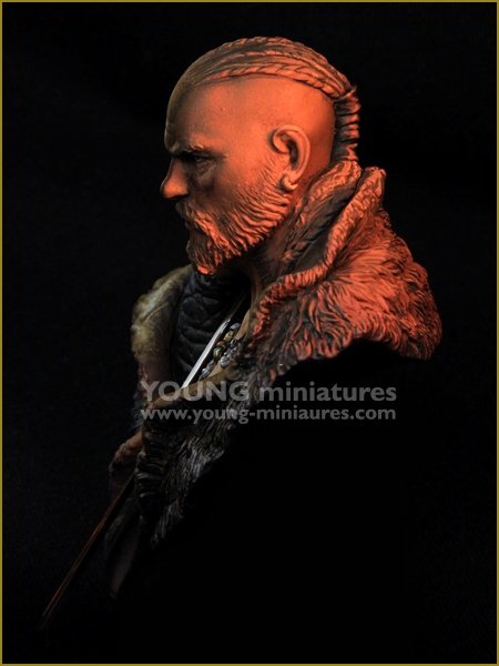 Young Miniatures YH1860 Le VIKING 1/10 – image 3