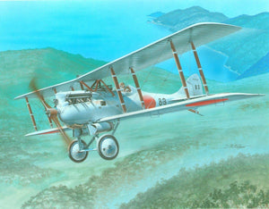Azur FR006 Nakajima KO-4 1/72