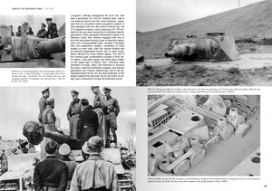 Abteilung 502 ABT760 CHARS DE LA WEHRMACHT WWII · CARLOS DE DIEGO VAQUERIZO – immagine 3