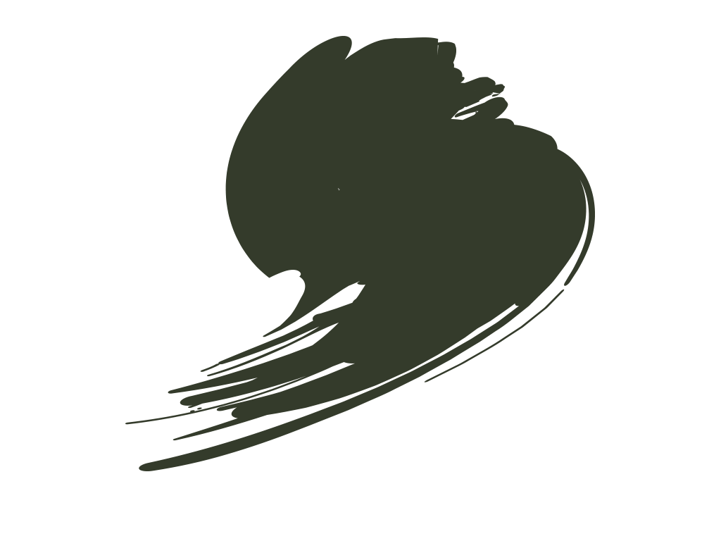 Hataka HTK-A017 Vert foncé (RLM71)