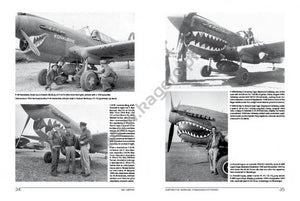 Kagero 19010 Curtiss P-40 Warhawk (Tomahawk/Kittyhawk) EN/PL – Bild 3