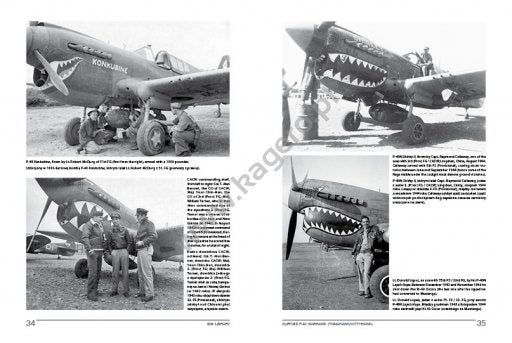 Kagero 19010 Curtiss P-40 Warhawk (Tomahawk/Kittyhawk) EN/PL – Bild 3