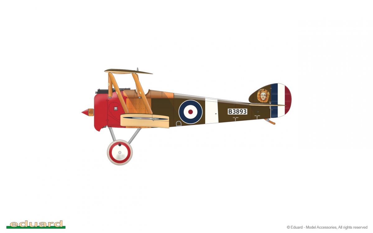 Eduard 11151 Camel &amp;amp; Co. 1/48 – imagen 22