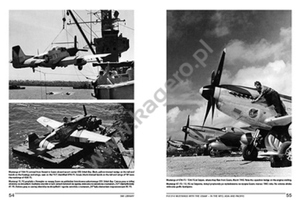 Kagero 19012 P-51/F-6 Mustangs de l&amp;#39;USAAF – en zone méditerranéenne, Asie et Pacifique EN/PL – Bild 3