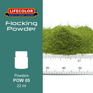 Poudre floquée Lifecolor POW05 Vert luxueux 22 ml