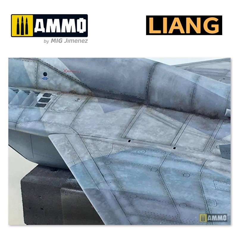 Liang 0007 Pochoirs pour aérographe Effets de vieillissement salin (Intensif) – image 8