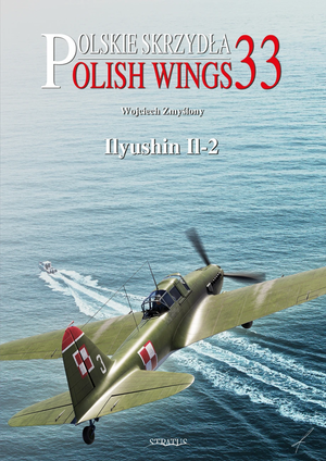 Stratus 49999 Ailes polonaises n° 33 Ilyushin Il-2 EN