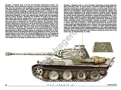 Kagero 15039 Panzers capturés, véhicules allemands au service des Alliés (décalcomanie) PL/EN – Bild 4