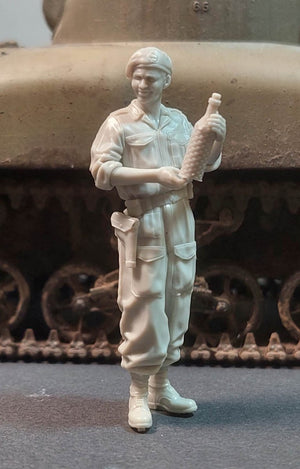 Panzer Art FI35-190 Char britannique en Normandie n° 1 1/35