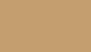 Lifecolor UA474 - Bronzage moyen 22 ml
