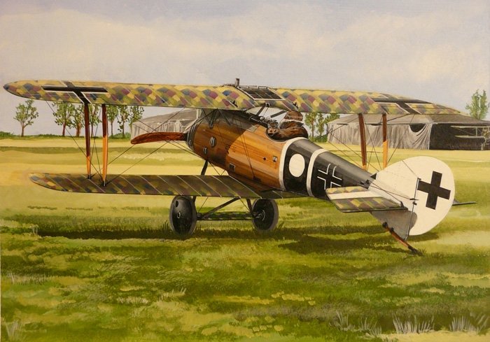 Fly 48005 Roland D VI a/b 1/48 – image 2