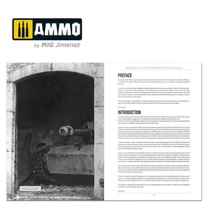 Munitions du Mig 6267 ITALIENFELDZUG – Chars et véhicules allemands 1943-1945 Vol. 4 – immagine 7