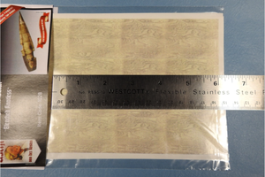 Uschi 1028 - Décalcomanie imitation bois « Bleach Knotless » 1/35