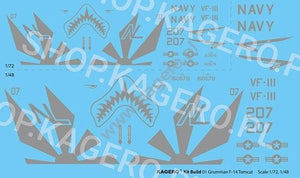Kagero 41001 Grumman F-14 TOMCAT EN/PL – image 2