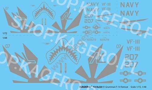 Kagero 41001 Grumman F-14 TOMCAT EN/PL – image 2