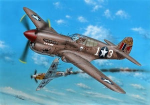 Maquette Special Hobby 72379 P-40K-1/5 Warhawk Short Tai 1/72