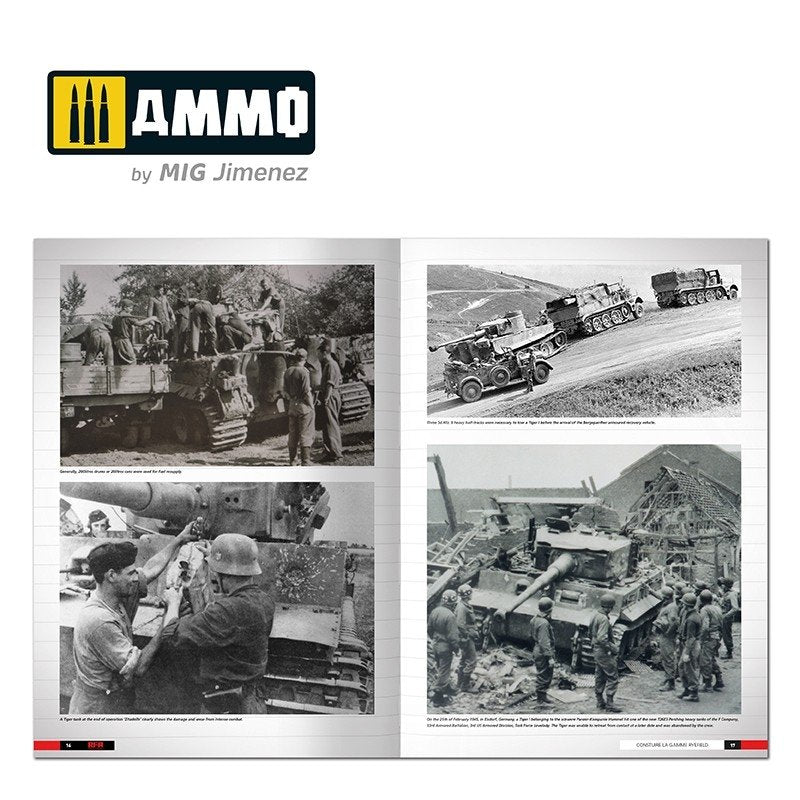 Ammo of Mig 6273 Tigers – Modelling the Ryefield Family (English) – zdjęcie 3