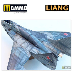 Liang 0007 Pochoirs pour aérographe Effets de vieillissement salin (Intensif) – image 9