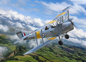 Revell 03827 DH 82 Tiger Moth 1/32 – immagine 2