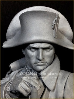 Young Miniatures YH1846 NAPOLÉON à Austerliz 1/10 – Bild 8