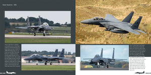 Publications HMH DH-026 Boeing F-15 E/K/SG Strike Eagle - Avion en détail 026 (Version anglaise) – immagine 10
