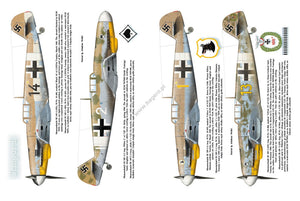 Kagero 12010 Luftwaffe sur la Tunisie vol. II février – mai 1943 FR – imagen 4