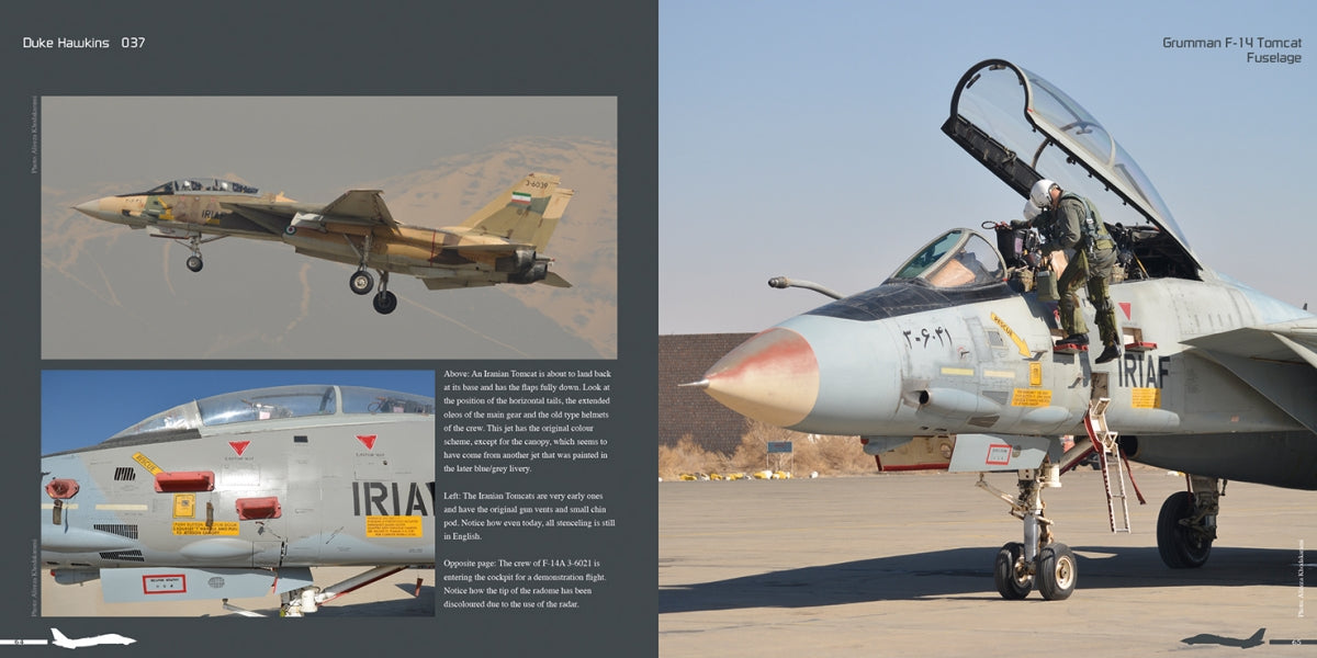Publications HMH DH-037 Grumman F-14 Tomcat - Avion en détail 037 (Version anglaise)  – Bild 3