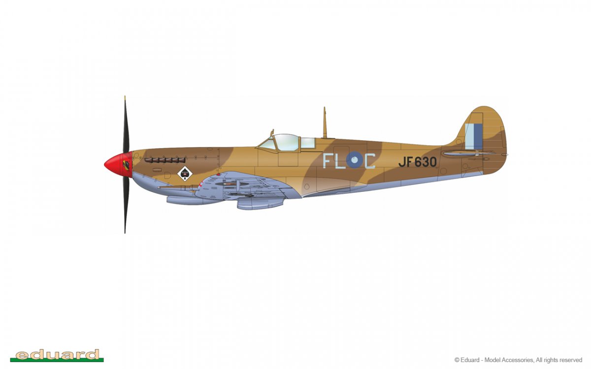 Eduard 8287 Spitfire HF Mk.VIII 1/48 – immagine 4
