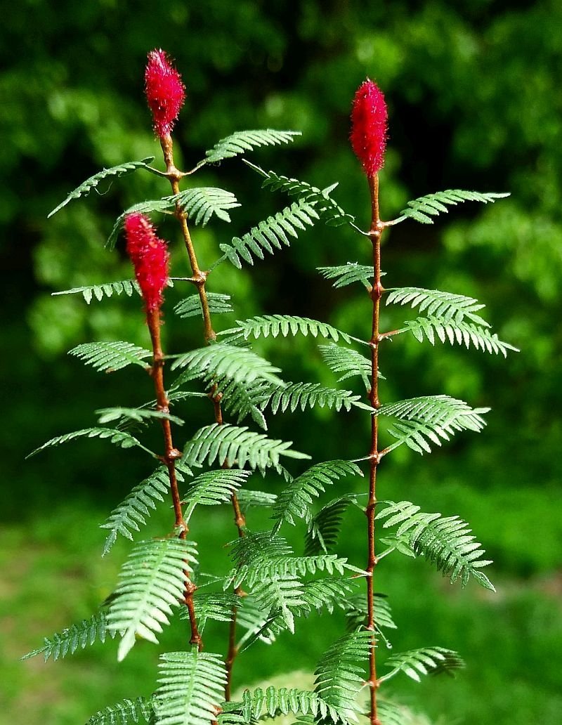 Scène VG3-018 Sumac, maquette au 1/35