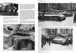 Abteilung 502 ABT760 CHARS DE LA WEHRMACHT WWII · CARLOS DE DIEGO VAQUERIZO – immagine 5