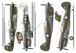 Kagero 3040 Curtiss P-40 vol. II FR – immagine 5