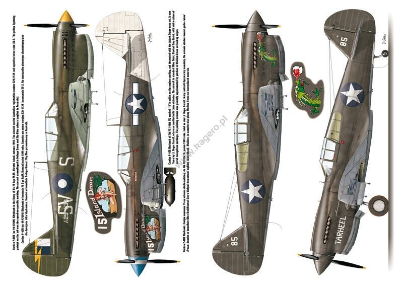Kagero 3040 Curtiss P-40 vol. II FR – immagine 5