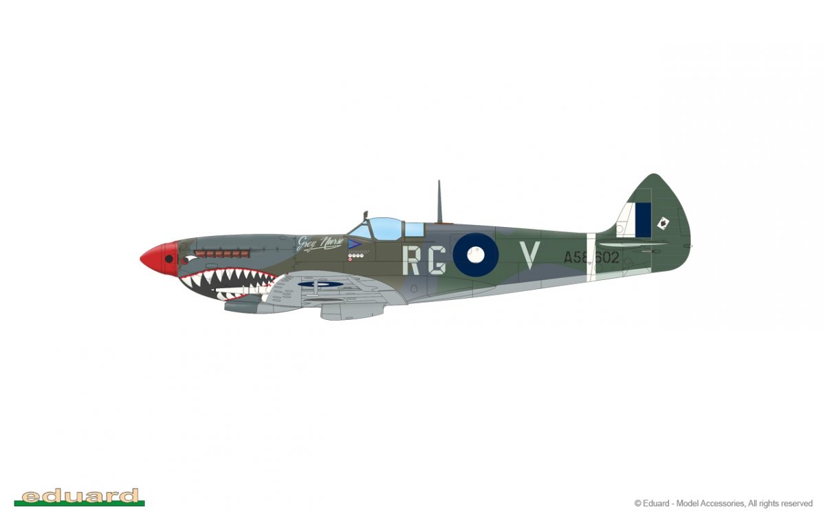 Eduard 84154 Spitfire Mk.VIII Édition Week-end 1/48 – image 7