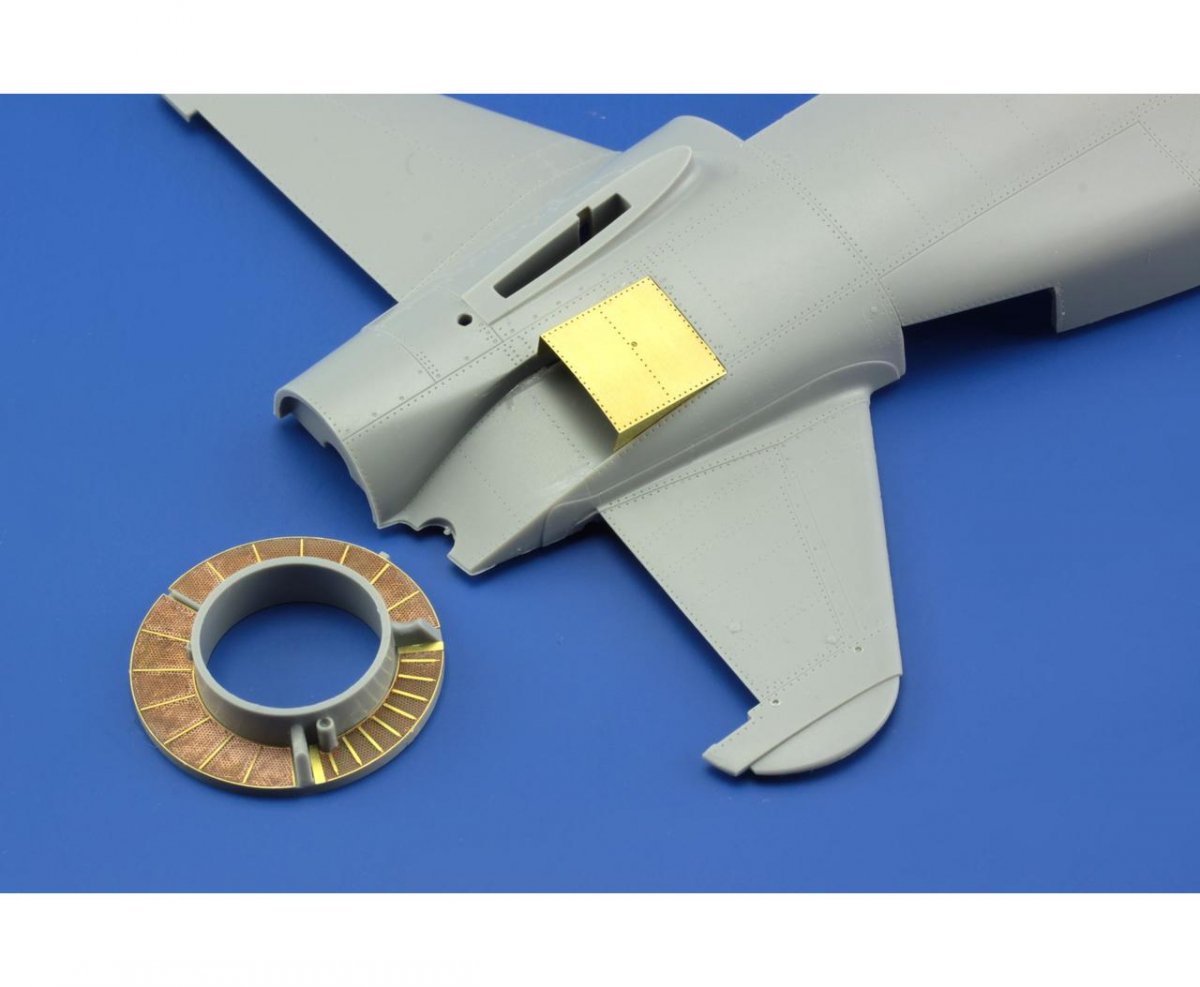 Maquette extérieure Eduard 32364 Do 335 au 1/32 HK – immagine 4