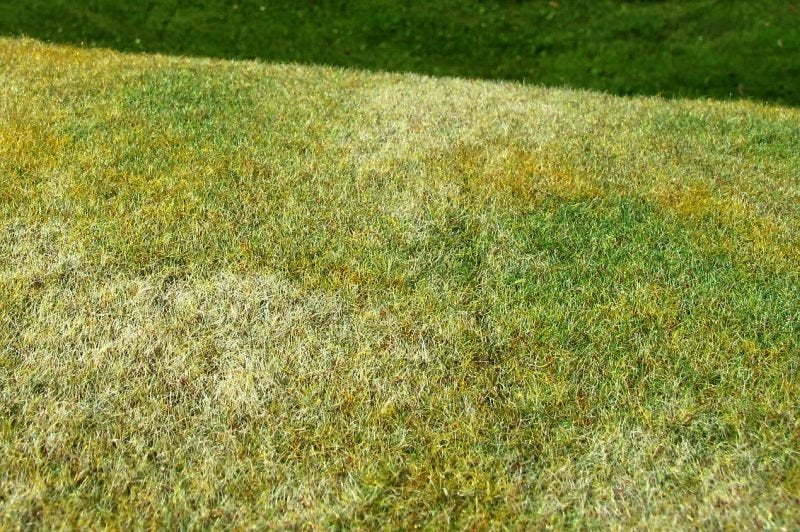 Scène miniature F003 Prairie coupée - Fin d&amp;#39;été – imagen 2