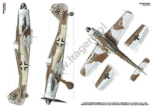 Kagero 7026 Focke-Wulf Fw 190 D. Modèles D-9/D-11/D-13/D-15 EN/PL – immagine 4