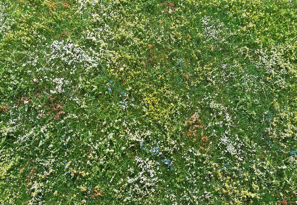 Model Scene F562 Blooming meadow - early summer – zdjęcie 2