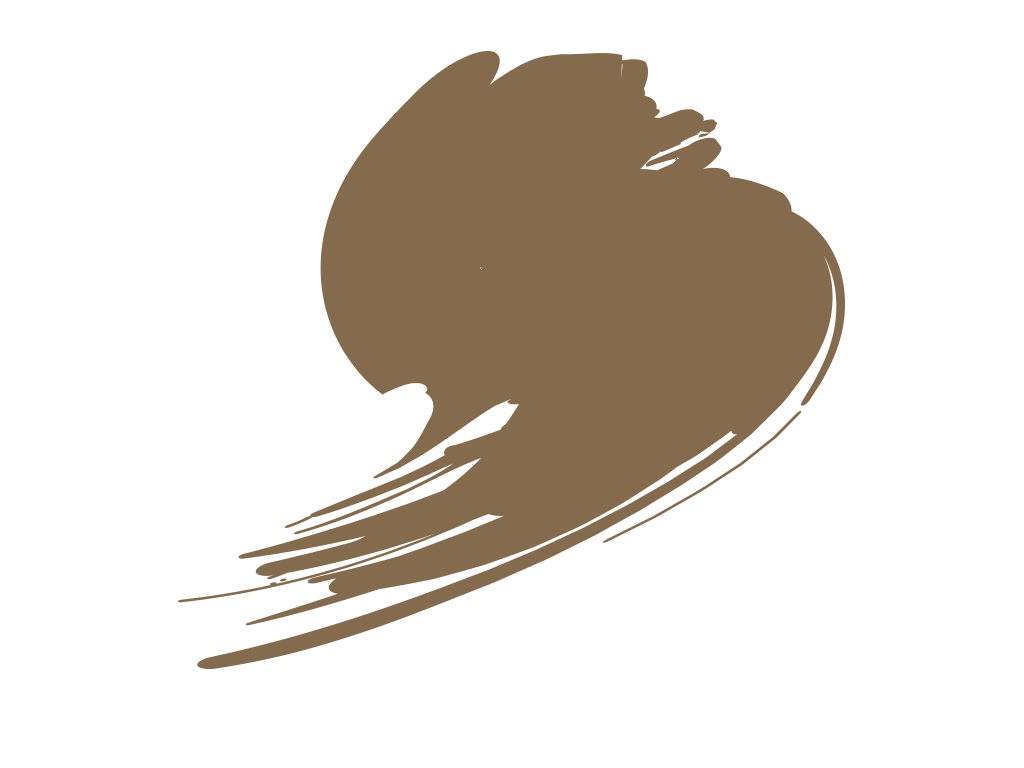 Hataka HTK-A012 Tan foncé (FS30219, ANA 628)