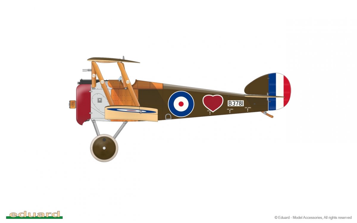 Eduard 82171 Sopwith F.1 Camel (BR.1) 1/48 – immagine 14