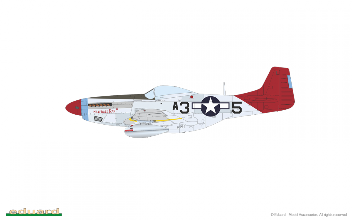 Eduard 11159 RED TAILS &amp;amp; Co. COMBO DOUBLE 1/48 – immagine 22