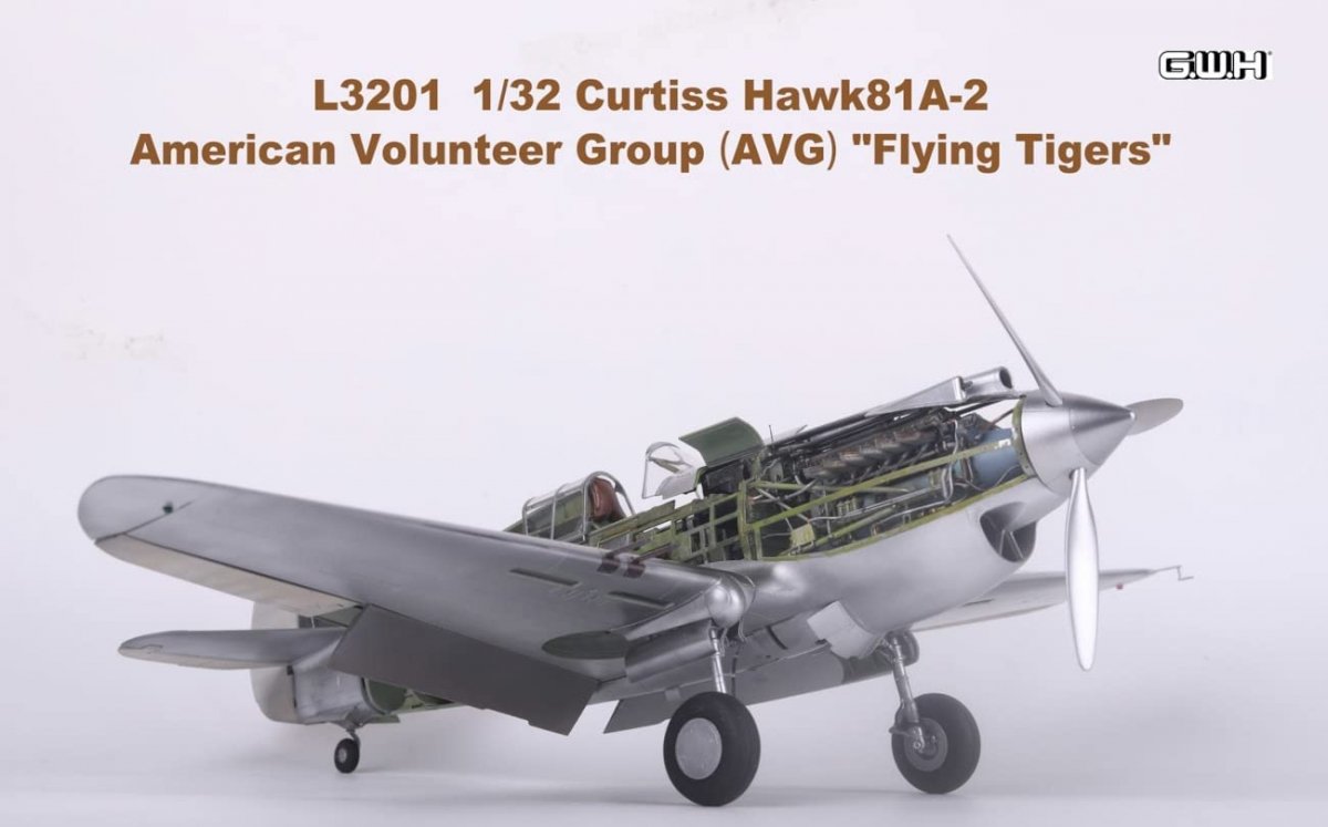 Maquette Great Wall Hobby L3201 Flying Tiger Curtiss Hawk 81-A2 au 1/32 – immagine 5